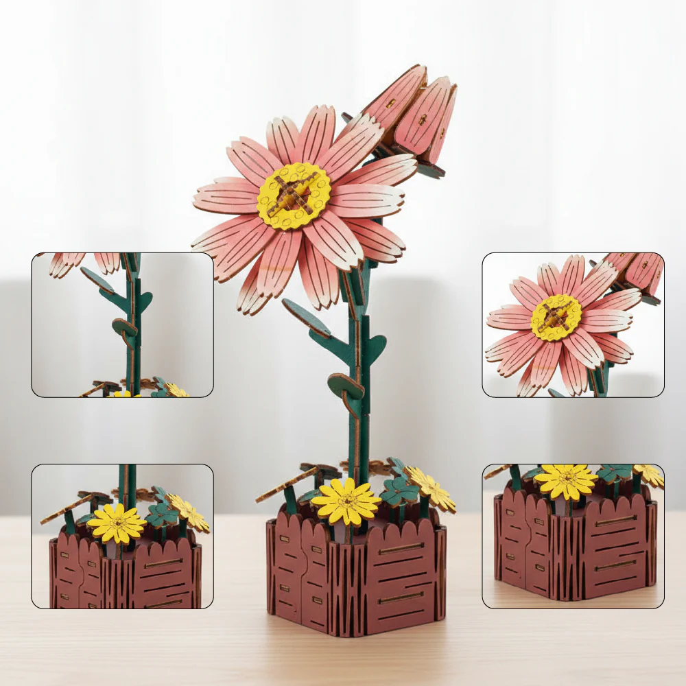 Daisy - Image 4