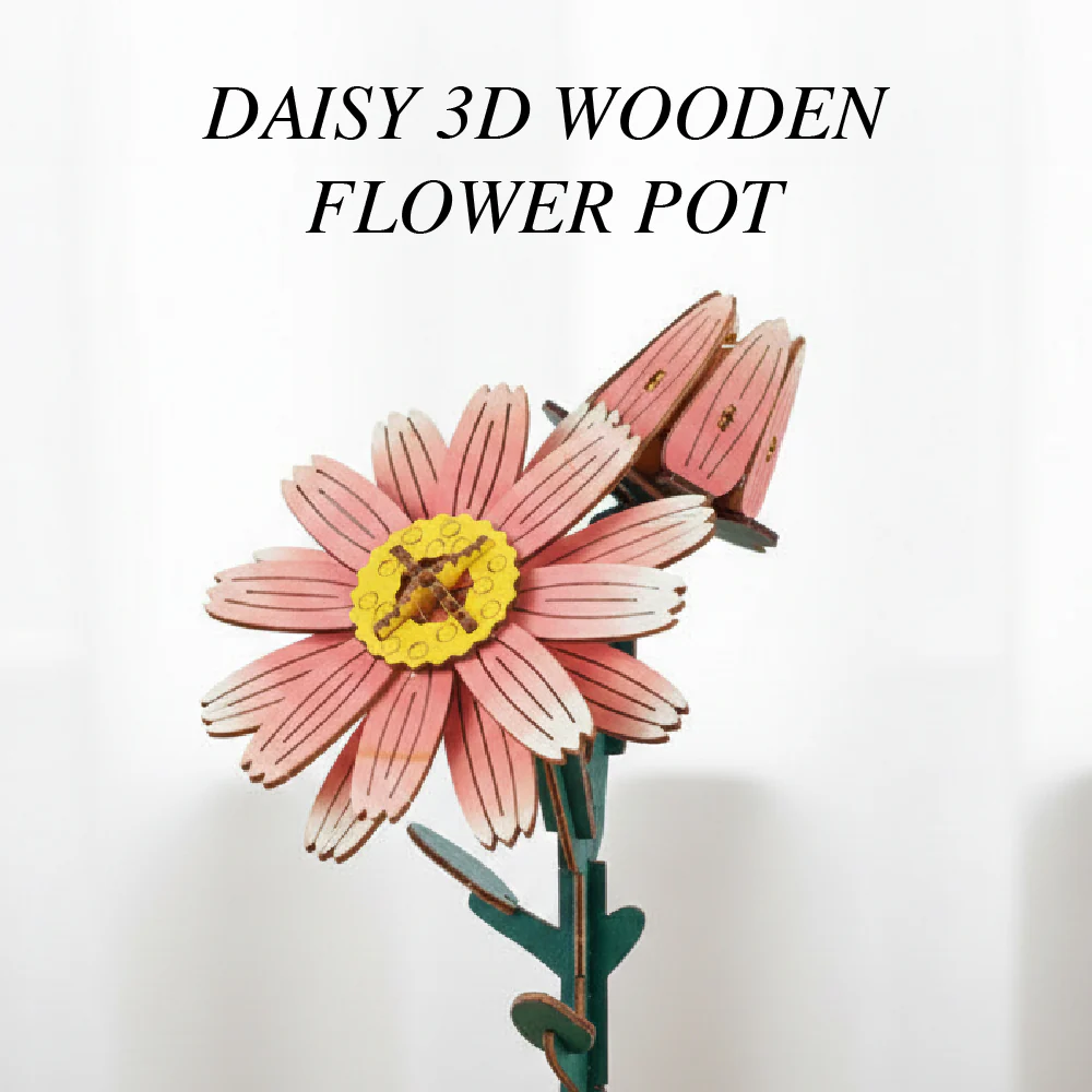 Daisy - Image 6
