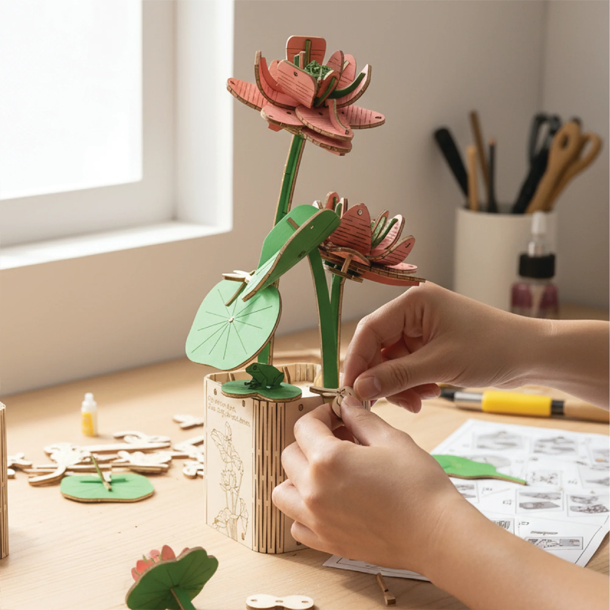 Lotus - Image 5