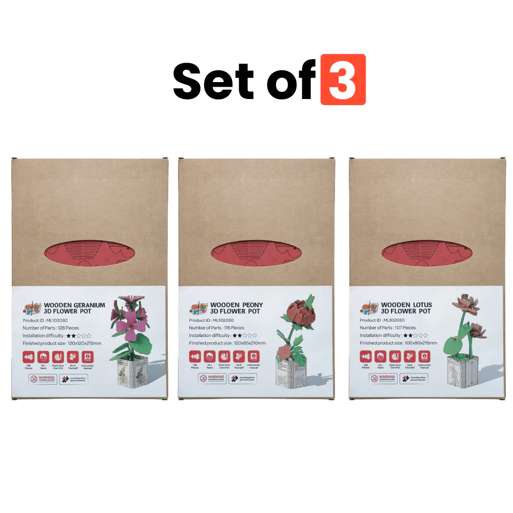 Geranium, Lotus & Peony 3D Wooden Flower Pot DIY Kit– Pack of 3 - Image 2