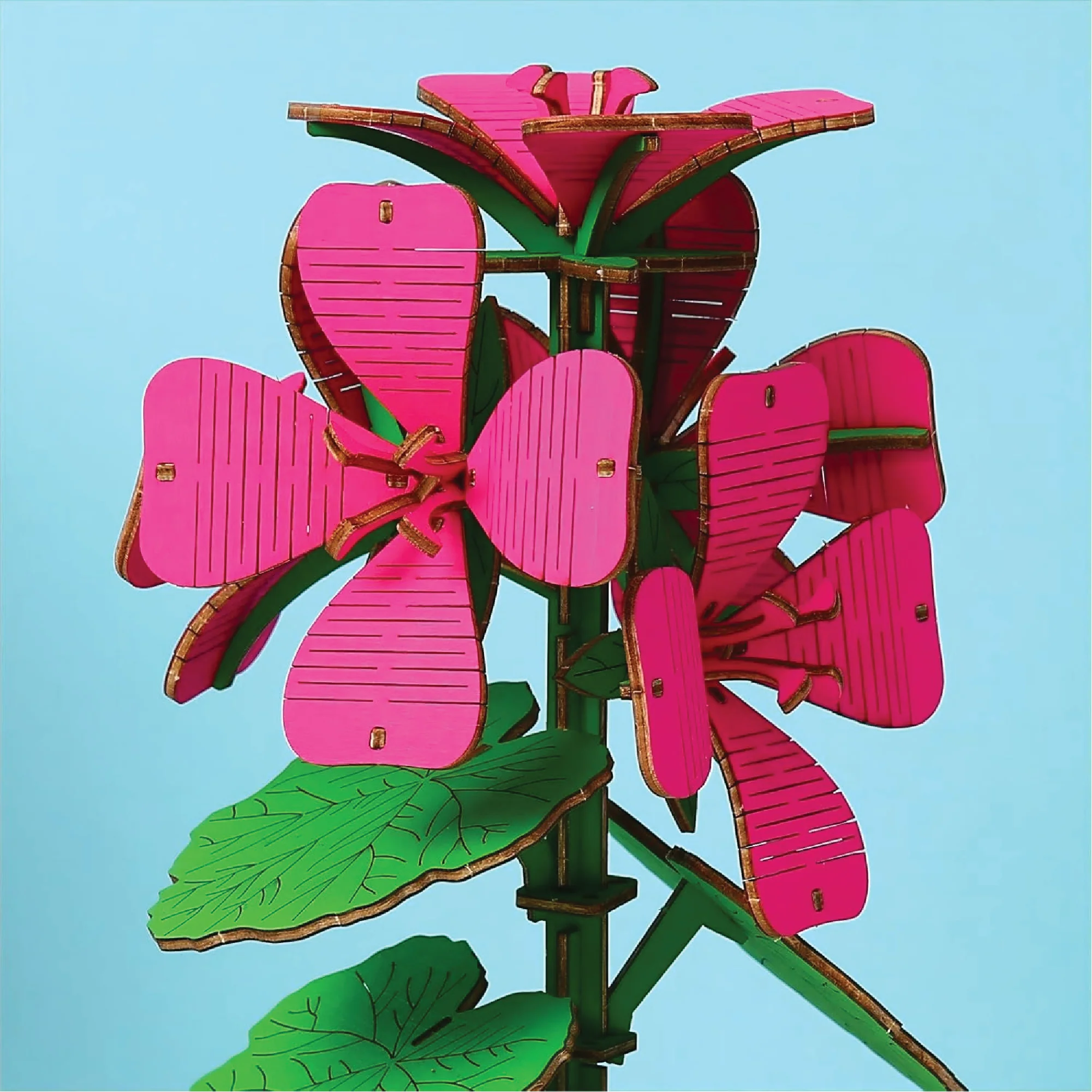 Geranium, Lotus & Peony 3D Wooden Flower Pot DIY Kit– Pack of 3 - Image 3