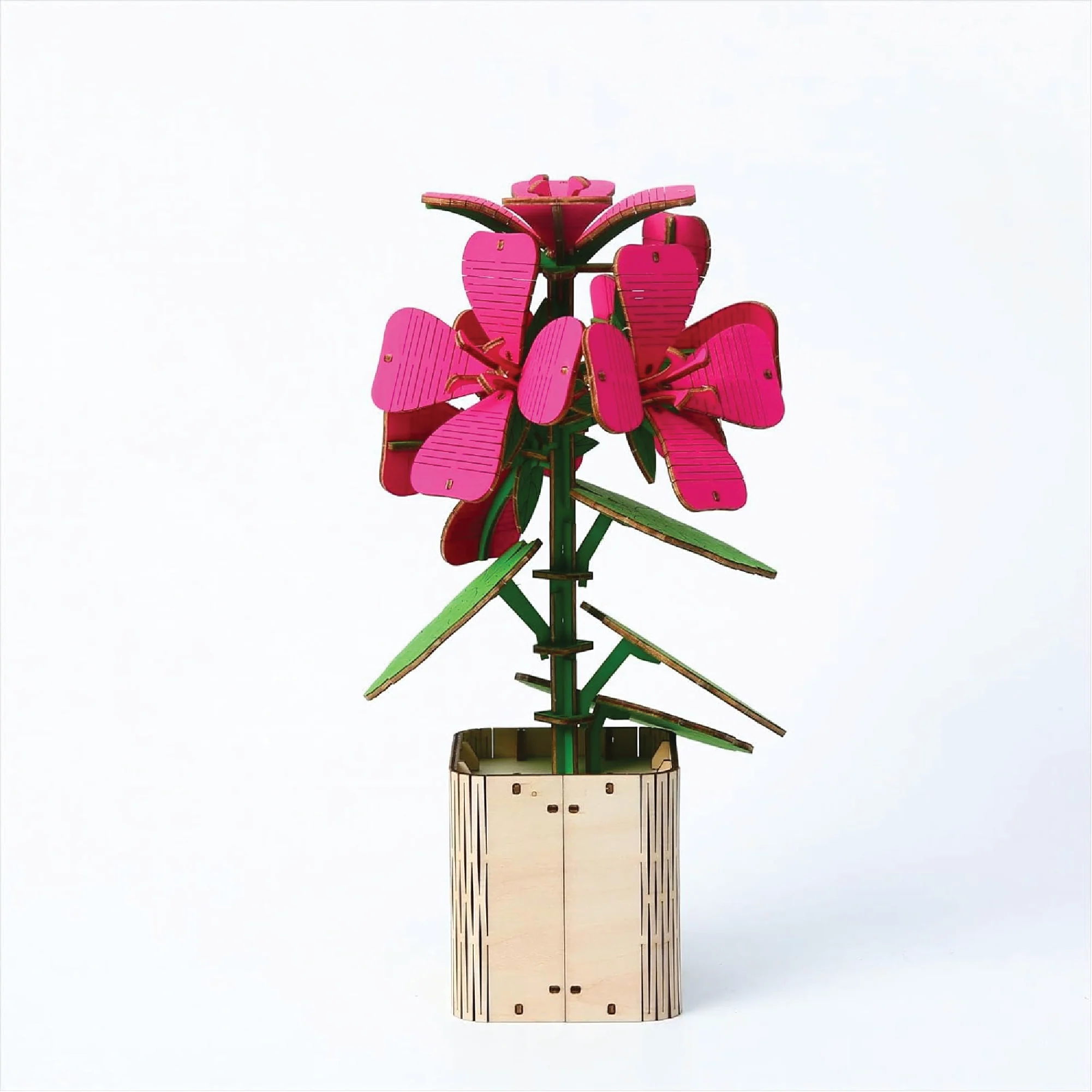 Geranium, Lotus & Peony 3D Wooden Flower Pot DIY Kit– Pack of 3 - Image 4