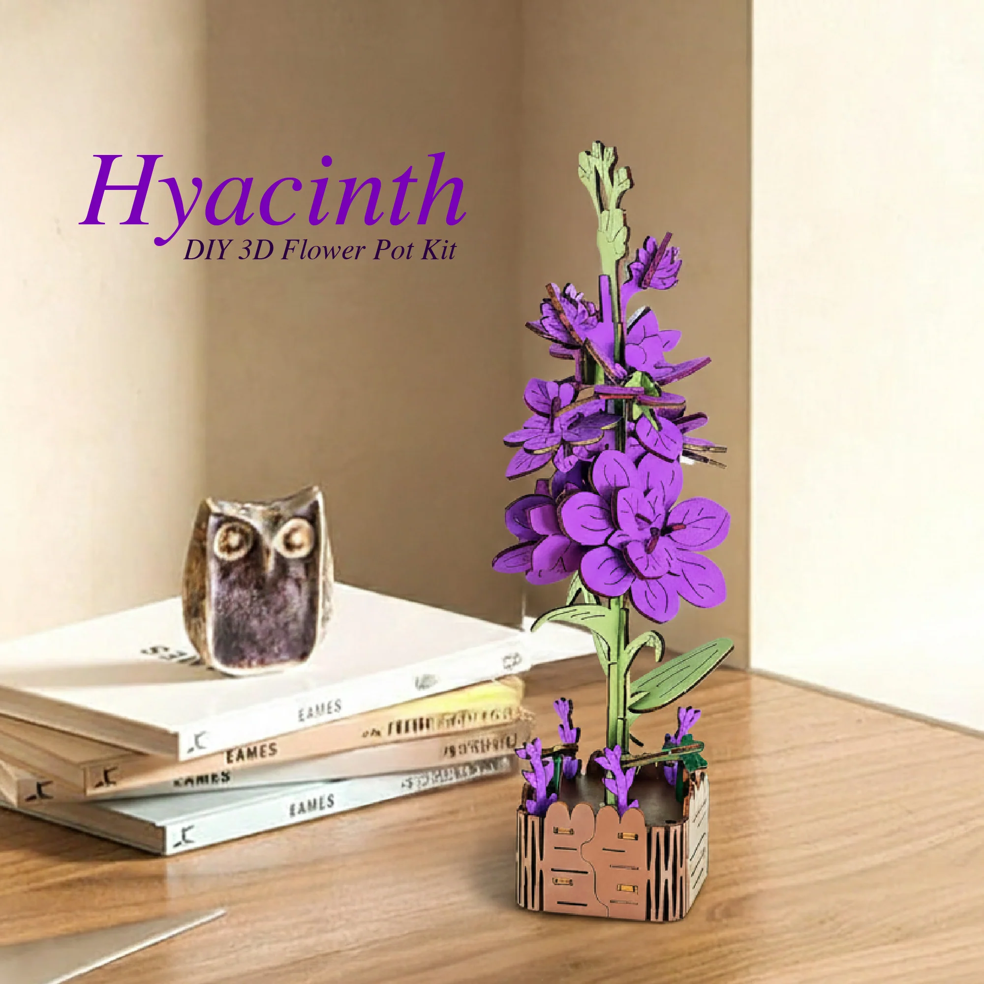 Hyacinth - Image 3