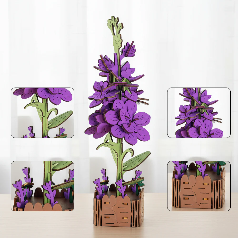 Hyacinth - Image 4