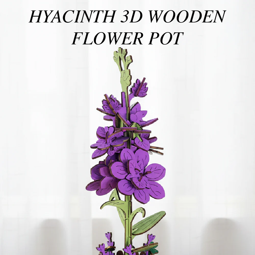 Hyacinth - Image 6