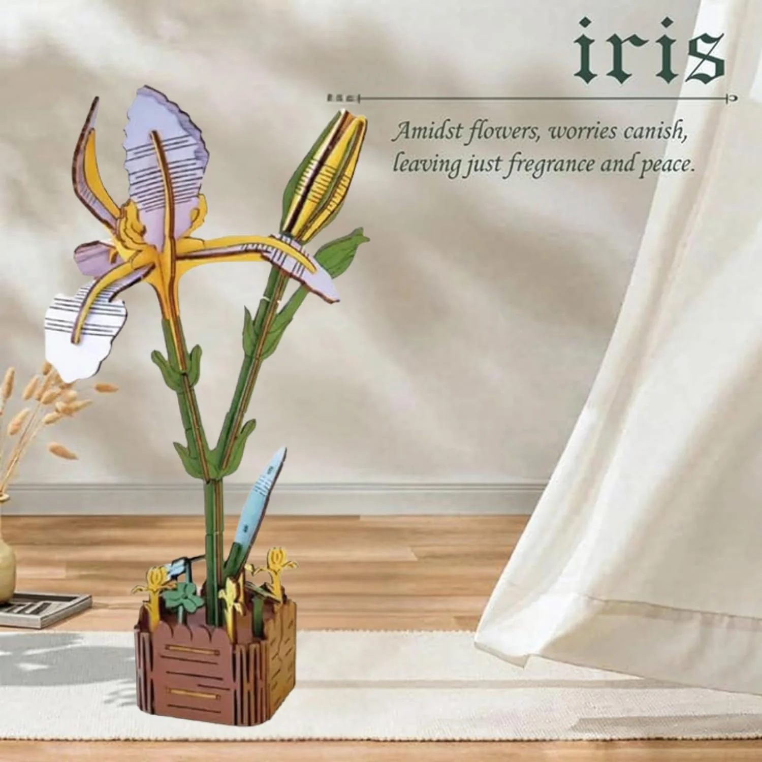 Iris - Image 3