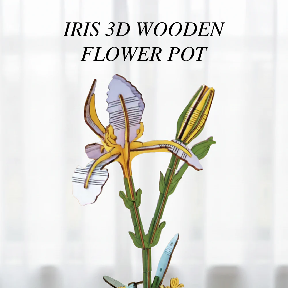 Iris - Image 4