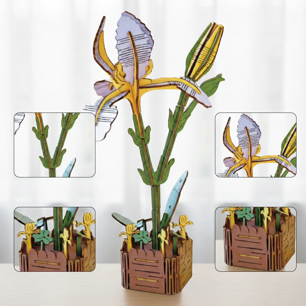 Iris - Image 5