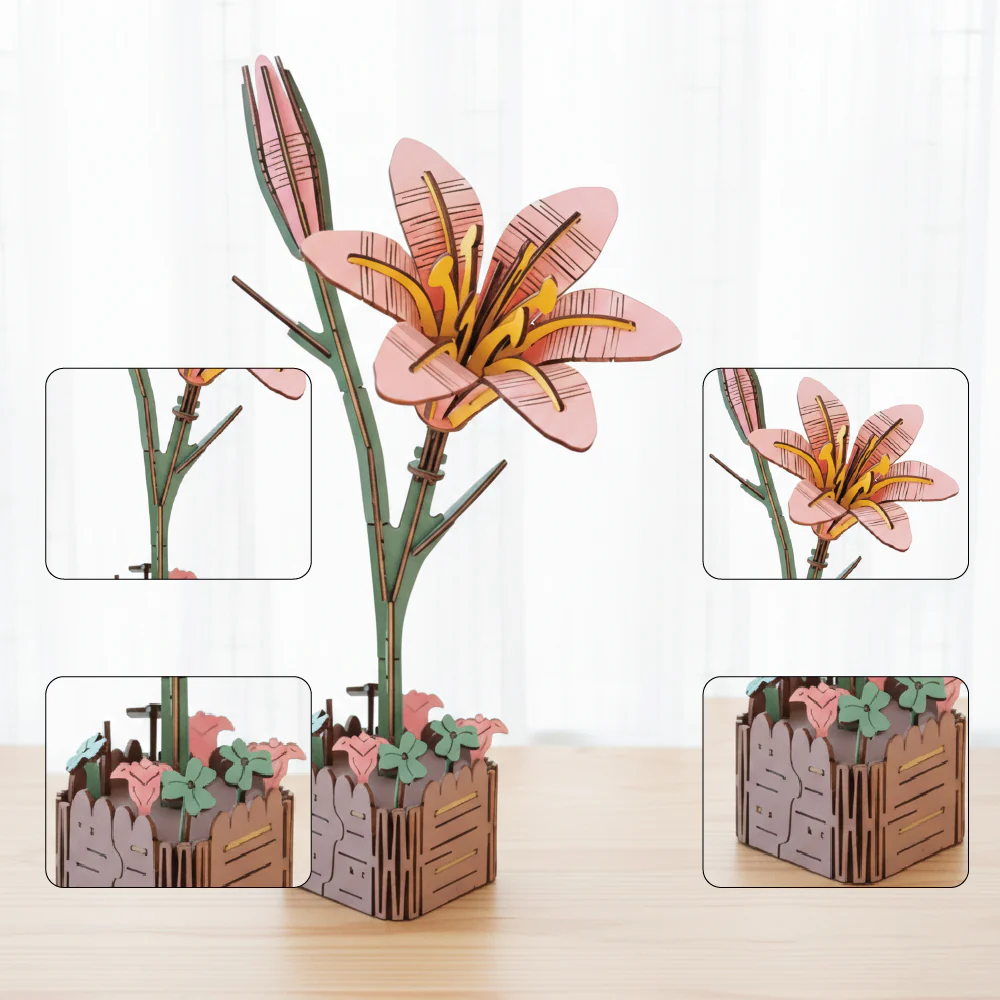 Lily Pink - Image 4