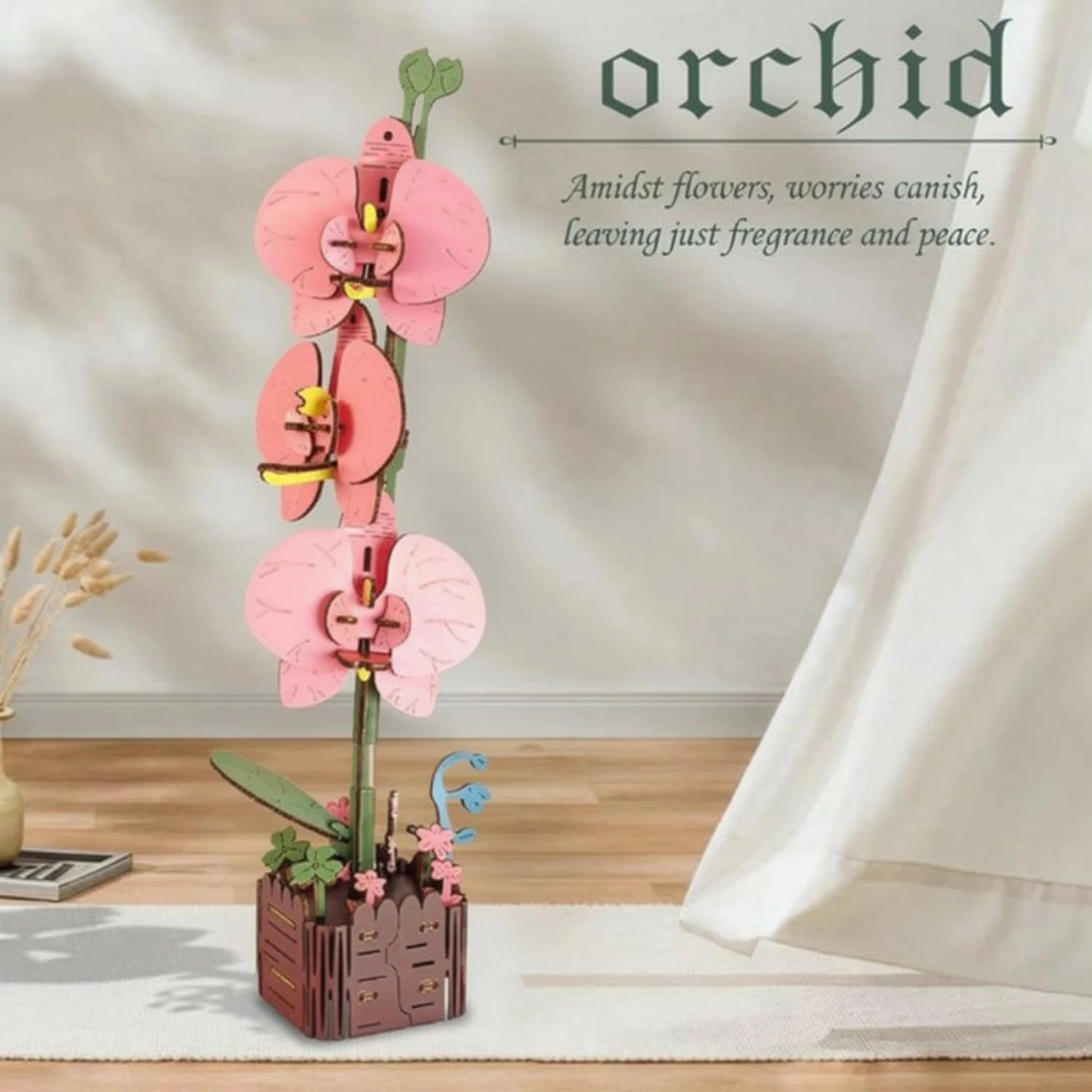 Orchid - Image 3