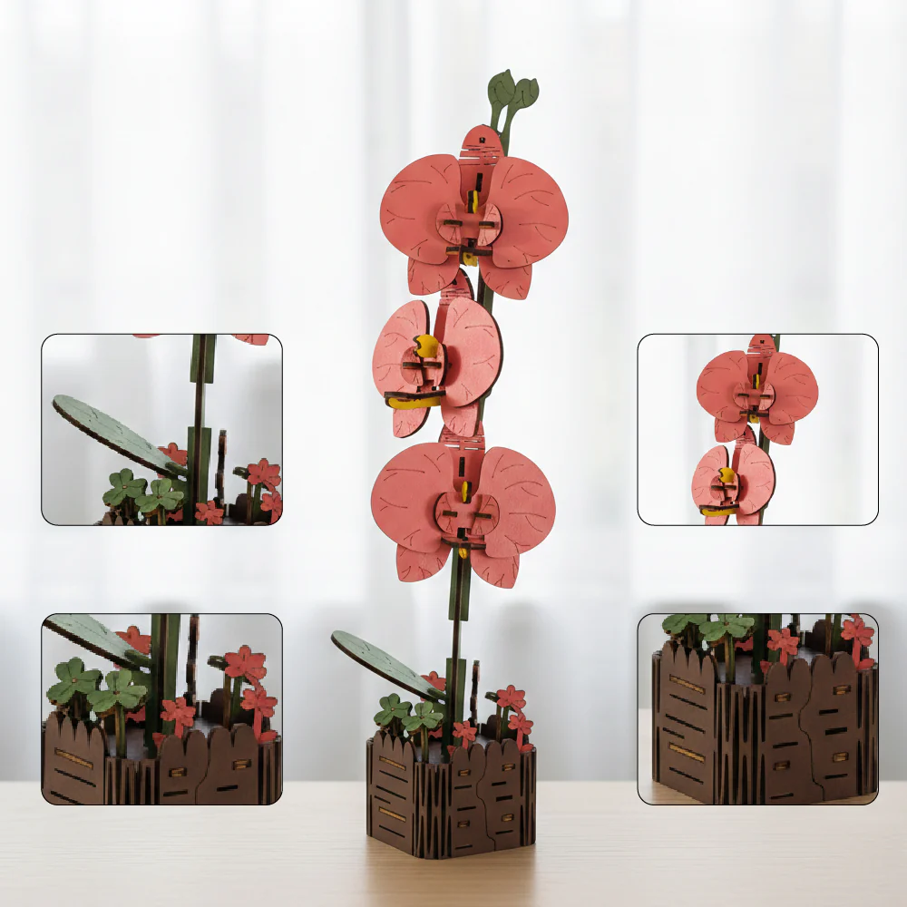 Orchid - Image 4