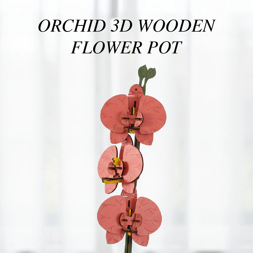 Orchid - Image 5