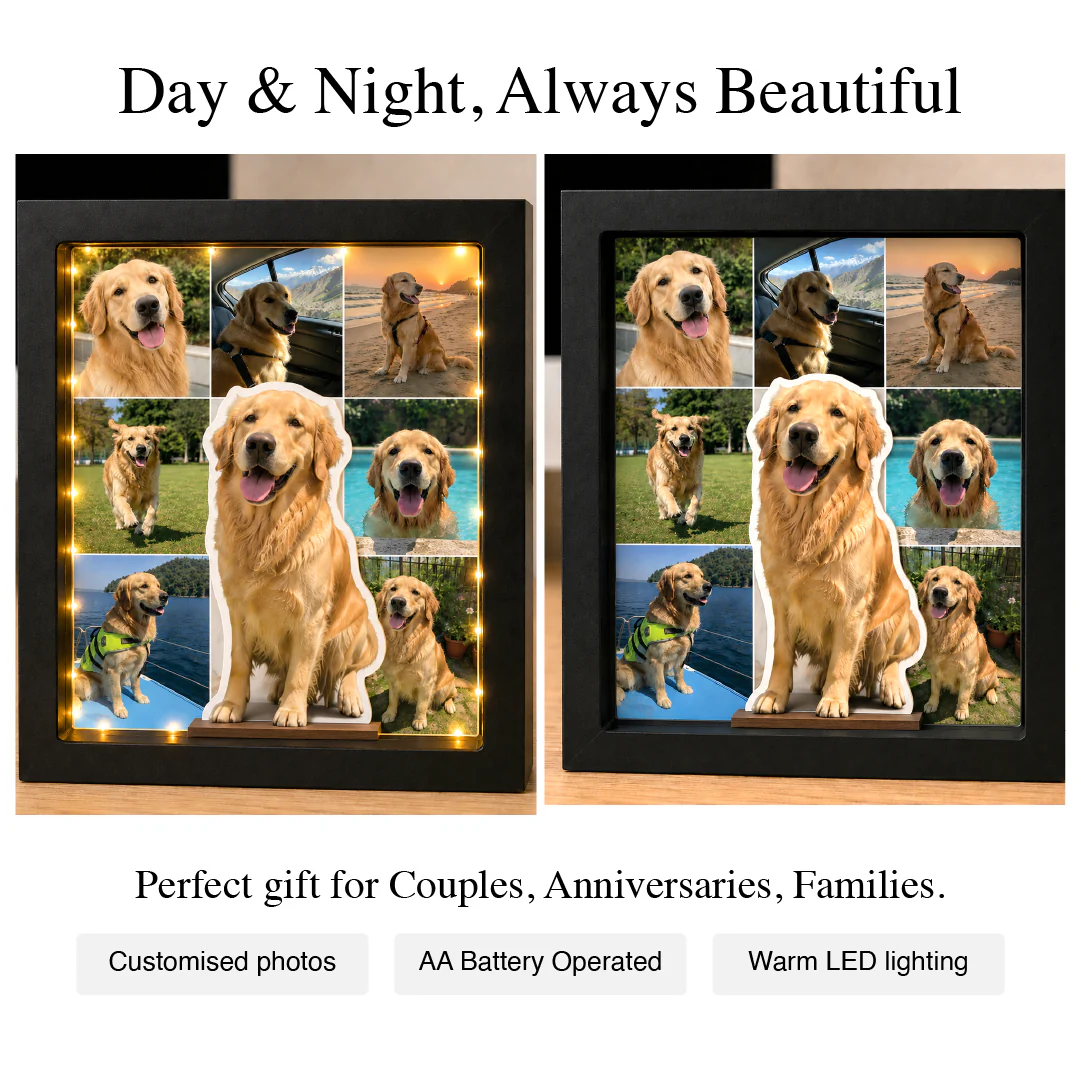 Paws, Love & Glowing Memories - Image 3