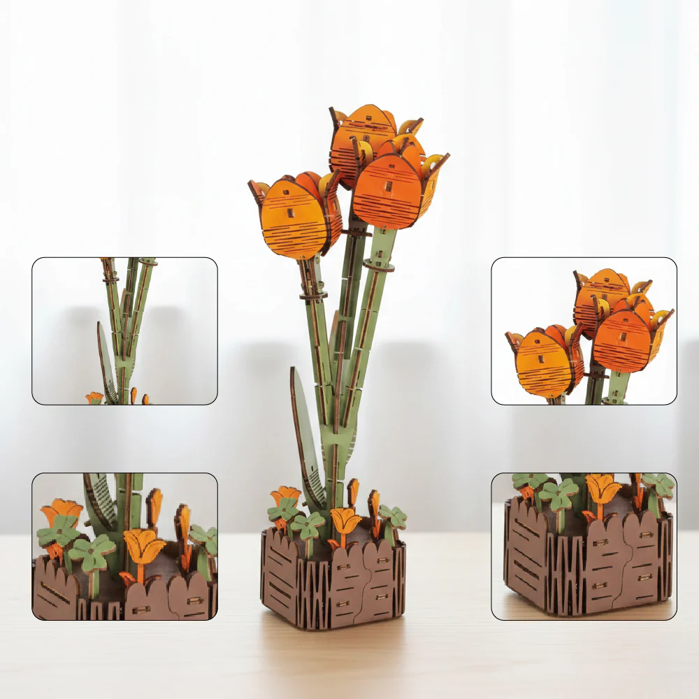 Tulip - Image 4