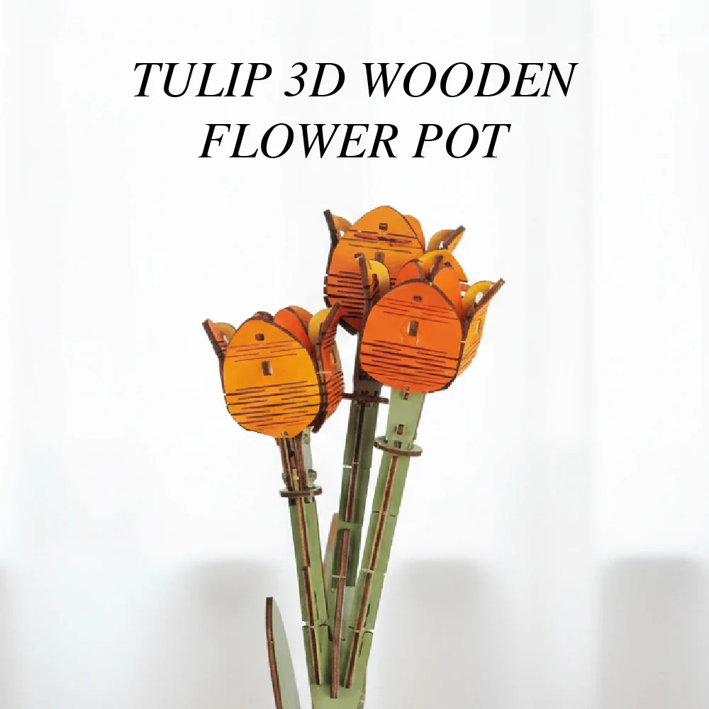 Tulip - Image 6